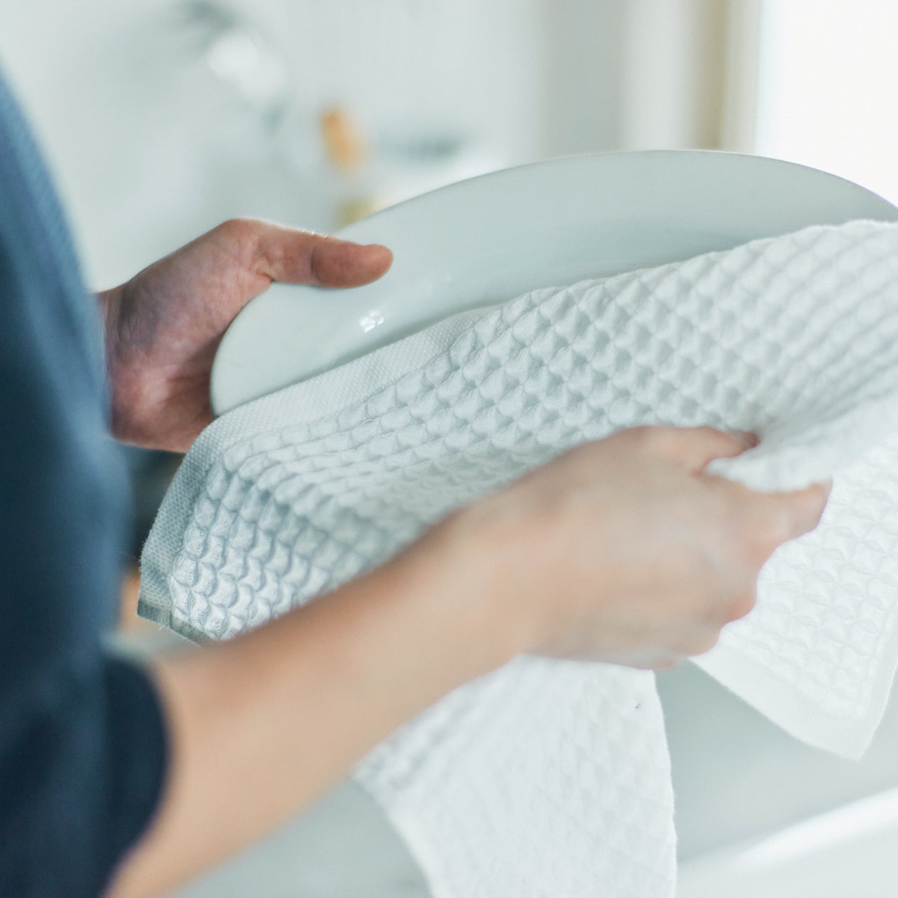 wash matou dry